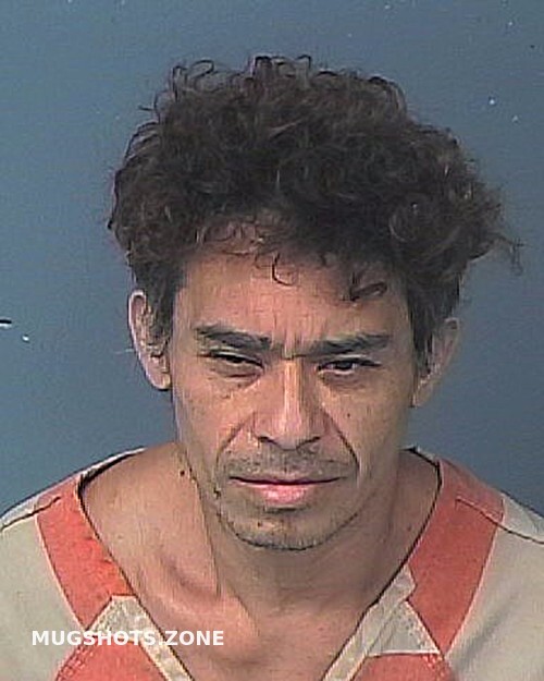 CARCAMO WILMER 01 10 2023 Hernando County Mugshots Zone