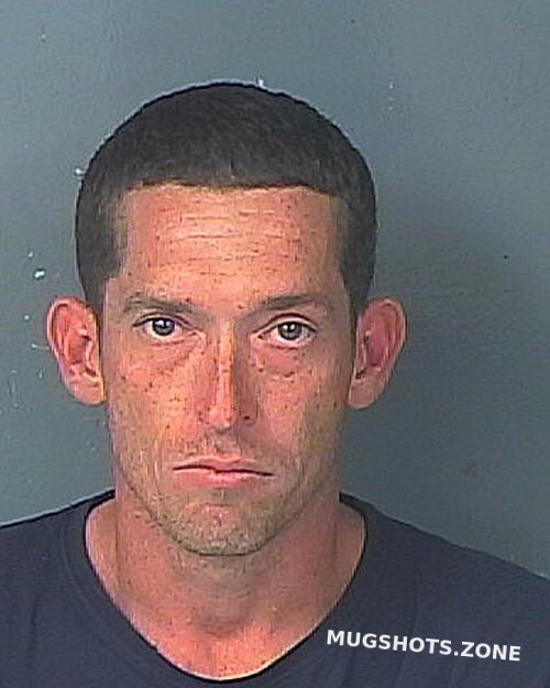 Terry John Verdon Hernando County Mugshots Zone