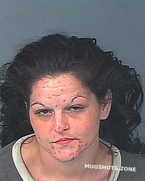 Wilcox Brittany Nicole Hernando County Mugshots Zone