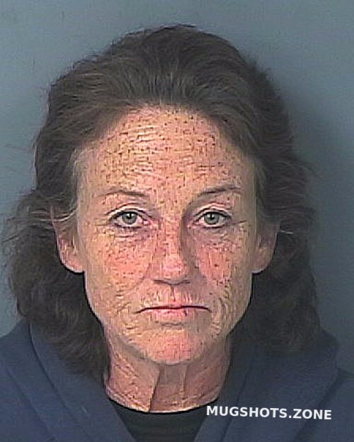 Stoots Patricia Lynn Hernando County Mugshots Zone