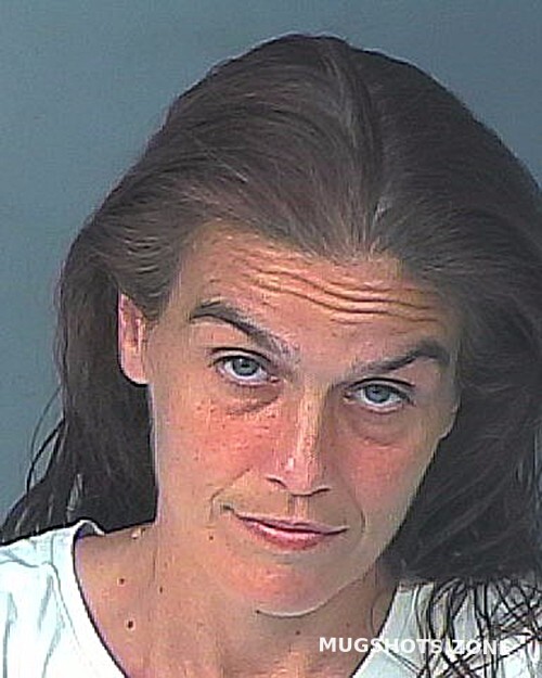 Smith Janet Marie Hernando County Mugshots Zone