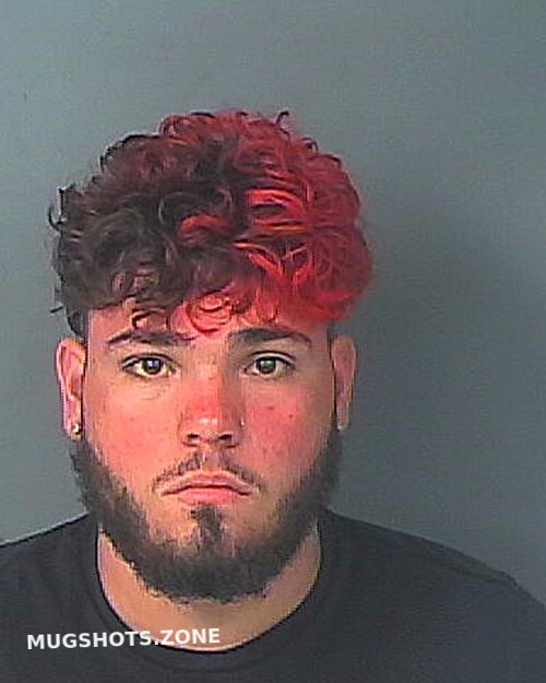 Rodriguez Christopher Hernando County Mugshots Zone