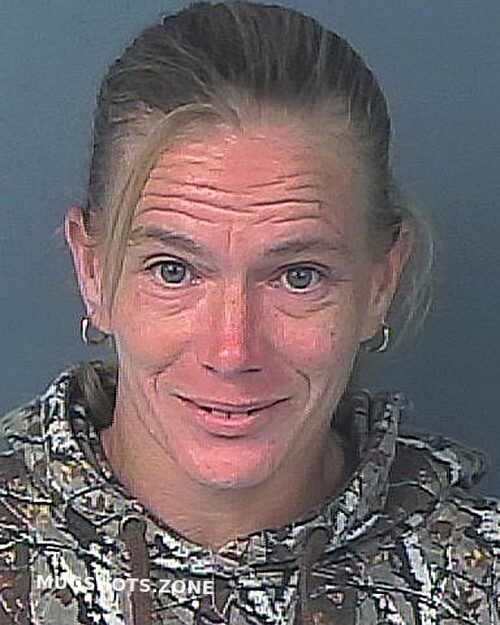 Lee Dorothy Marie Hernando County Mugshots Zone