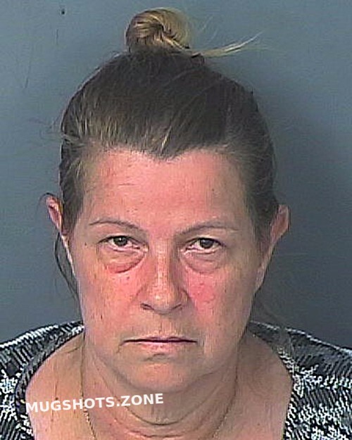 BROWNING DENISE LYNN 05 25 2023 Hernando County Mugshots Zone