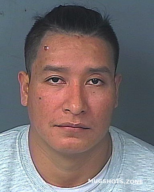 Hernandez Cortez Santos Hernando County Mugshots Zone