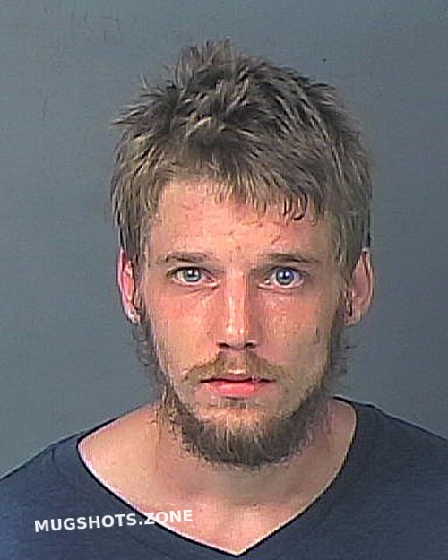 Ayers Devin Biain Hernando County Mugshots Zone