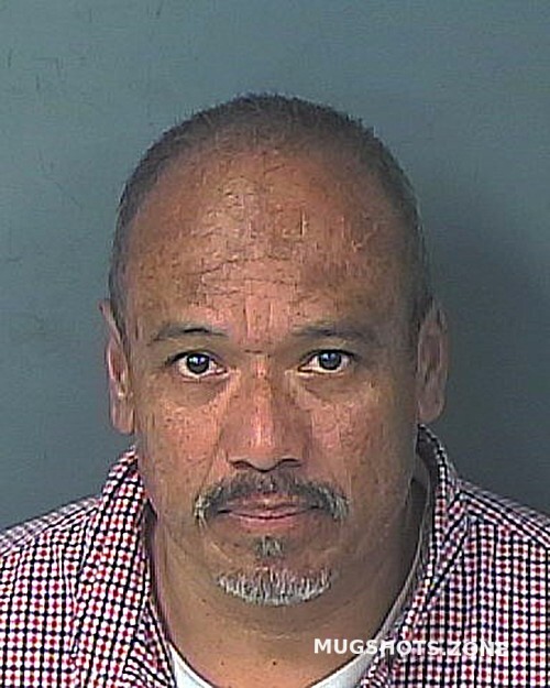 Gonzalez Eduardo Hernando County Mugshots Zone