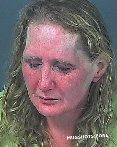 Smith Janice Hernando County Mugshots Zone