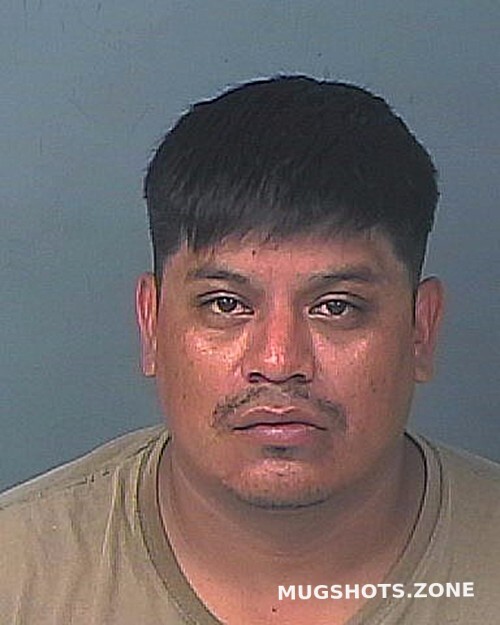 ALVARADO OMAR JOSE 11 11 2023 Hernando County Mugshots Zone