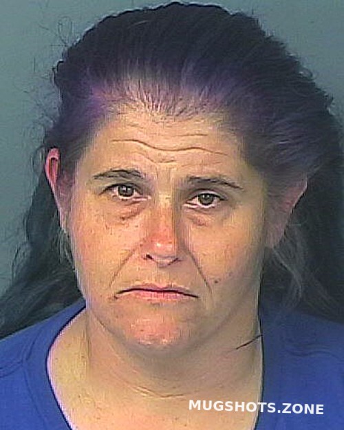 COLLINS TIFFANY MAY 11 17 2023 Hernando County Mugshots Zone