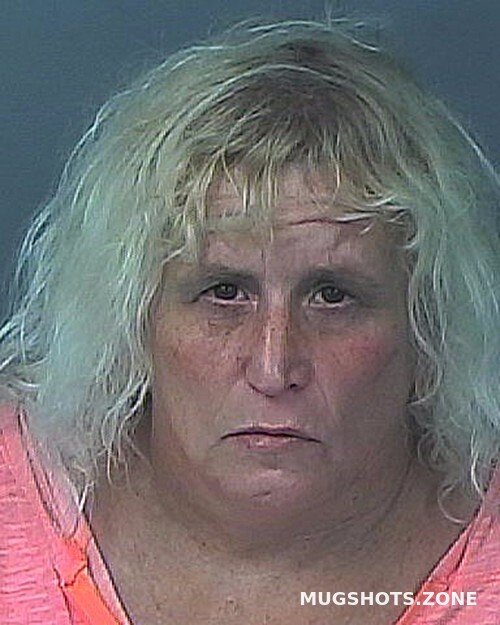 De Matteo Robyn Hernando County Mugshots Zone