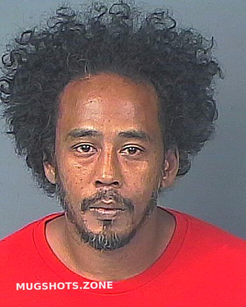 Moate Timothy Hernando County Mugshots Zone