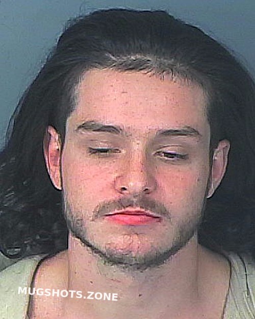 Fowler Sebastian Allen Hernando County Mugshots Zone