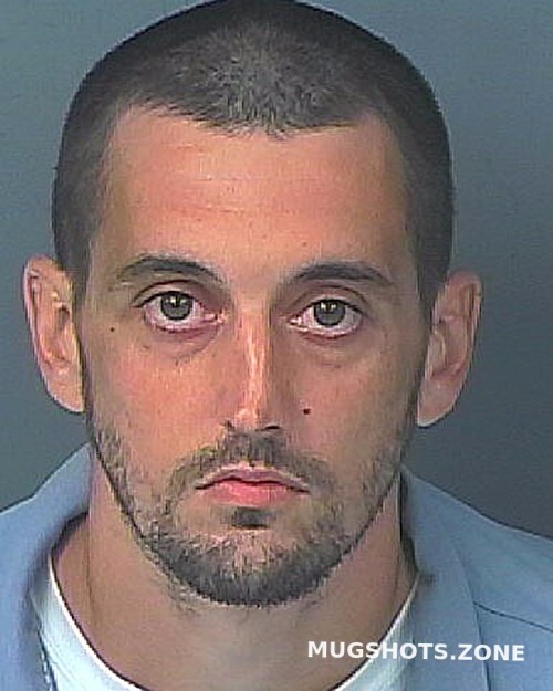 Buccellato Anthony John Hernando County Mugshots Zone