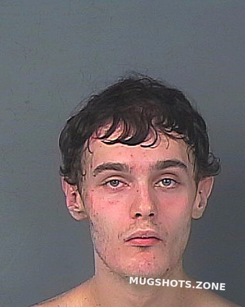 Zoet Kent Whyter Hernando County Mugshots Zone