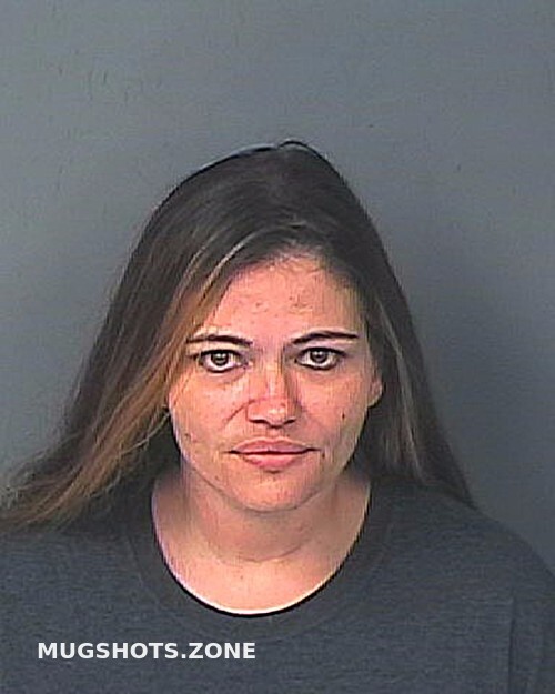 Smith Rhonda Lou Hernando County Mugshots Zone