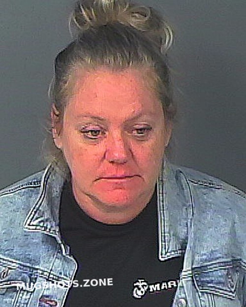 Massey Angela Marie Hernando County Mugshots Zone