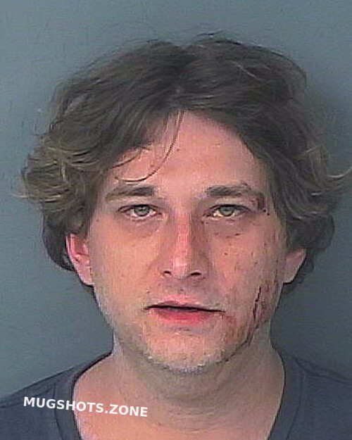 Scali Michael Thomas Hernando County Mugshots Zone