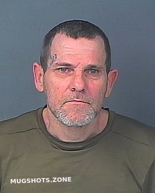 CHAPMAN RONALD EUGENE 01 03 2024 Hernando County Mugshots Zone