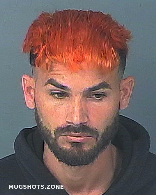 Vilar Pacheco Andres Hernando County Mugshots Zone