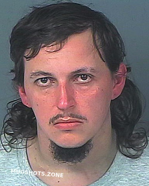 Pitcher Tyler Austin Hernando County Mugshots Zone