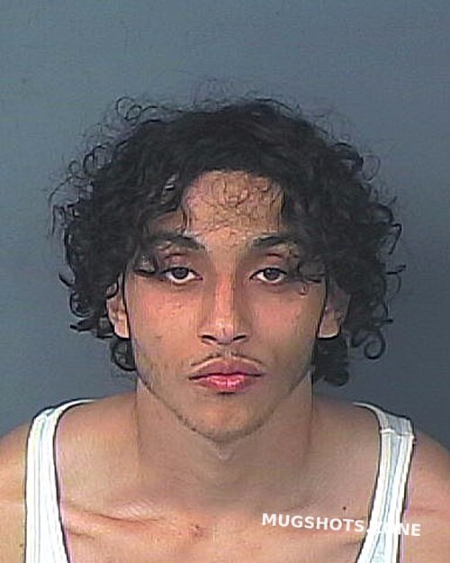 Malave Derrick Hernando County Mugshots Zone