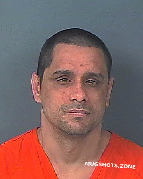 Vega Anthony Hernando County Mugshots Zone