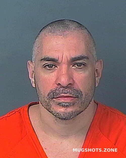 Garza Anthony Hernando County Mugshots Zone