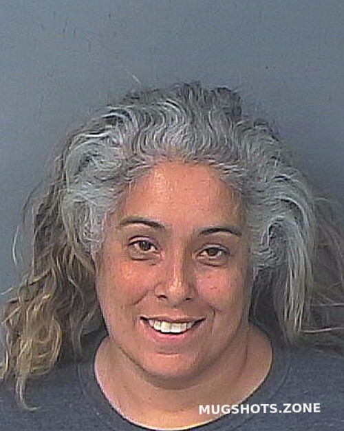 SANTIAGO JEANNE 02 15 2024 Hernando County Mugshots Zone