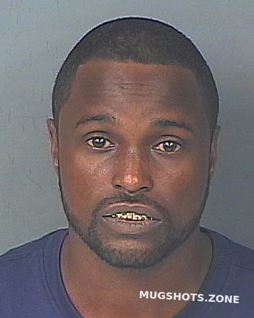 Webster Dedward Hernando County Mugshots Zone