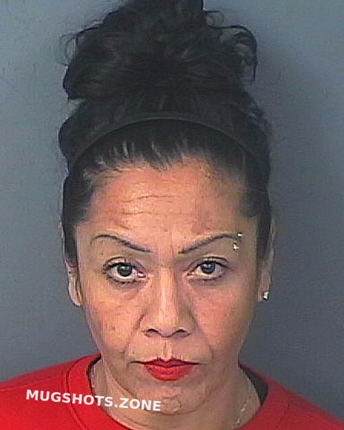 LUNA NUNEZ CINDERELLA 03 19 2024 Hernando County Mugshots Zone