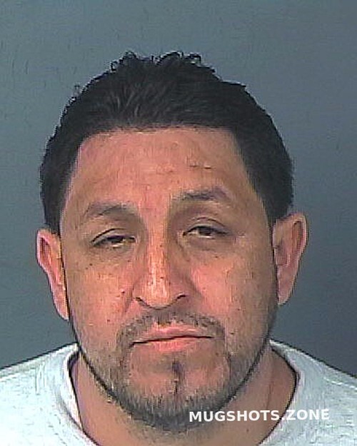 BRITO ALVAREZ BLADIMIR 03 21 2024 Hernando County Mugshots Zone