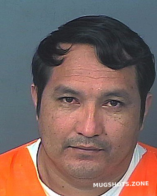 MORAN JOEL 03 21 2024 Hernando County Mugshots Zone