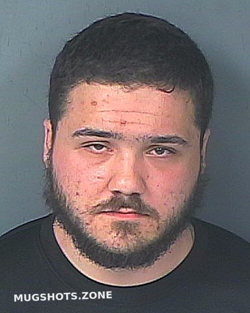 Spain Joseph David Hernando County Mugshots Zone