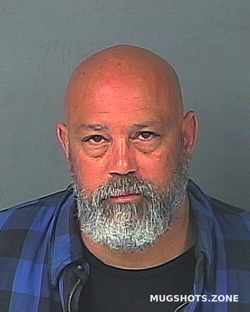 Messina Stephen Hernando County Mugshots Zone