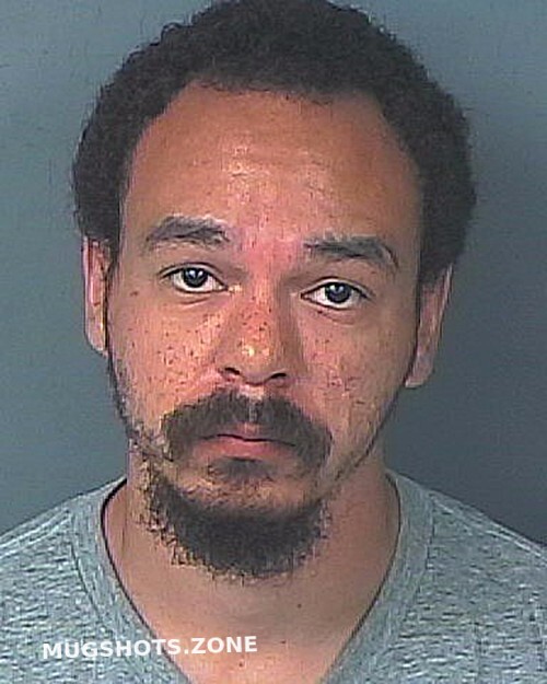 HELTON AUNDRE STEPHEN 04 10 2024 Hernando County Mugshots Zone