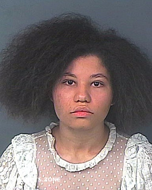 Smith Anaya Jade Hernando County Mugshots Zone