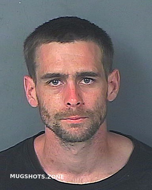 Whitehead Chad Michael Hernando County Mugshots Zone