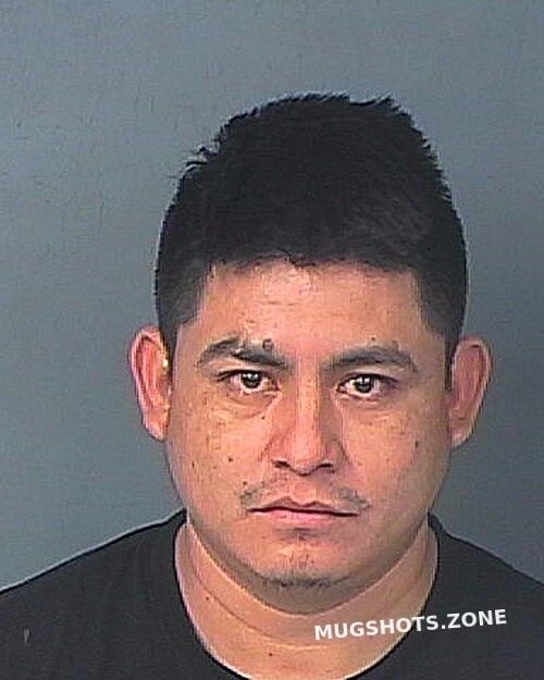 Vargas Pacheco Eleazar Hernando County Mugshots Zone