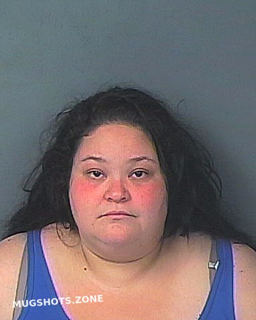 RAMIREZ LOPEZ SONYRAIDA 05 07 2024 Hernando County Mugshots Zone