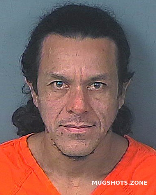 MEJIA DAVID ZELYA 05 24 2024 Hernando County Mugshots Zone