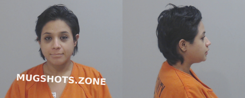 Alcantar Stephanie Marie Hidalgo County Mugshots Zone