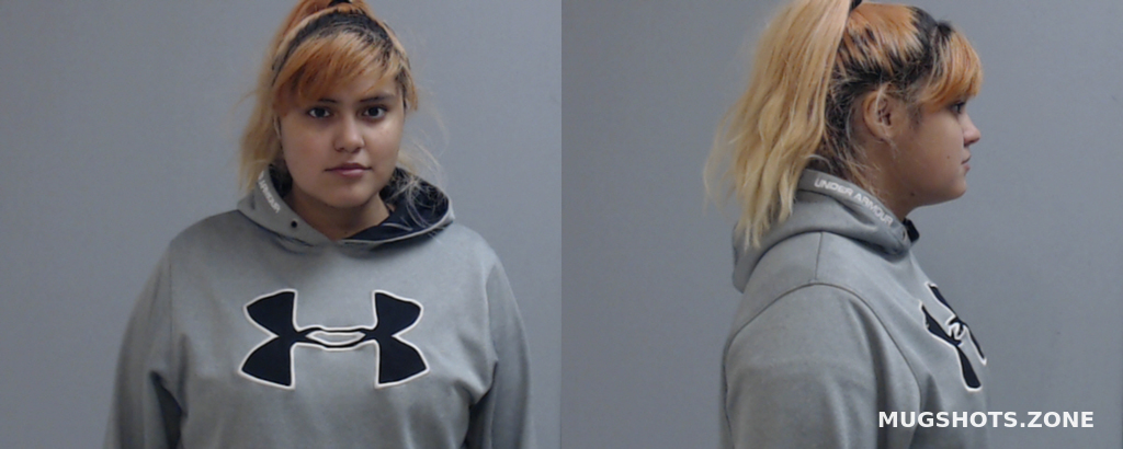 OLIVO GABRIELA GARCIA 03 20 2021 Hidalgo County Mugshots Zone