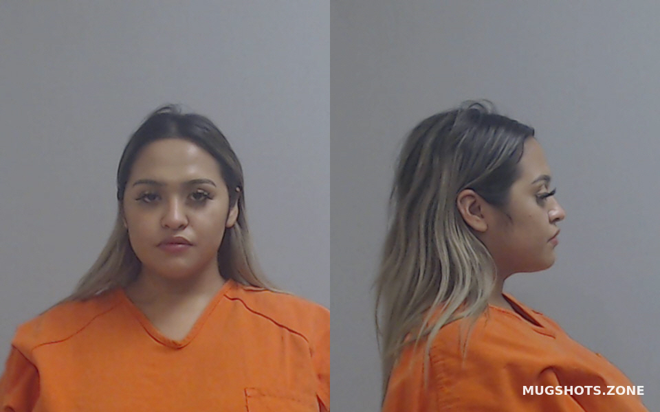 Gracia Ana Giselle Hidalgo County Mugshots Zone