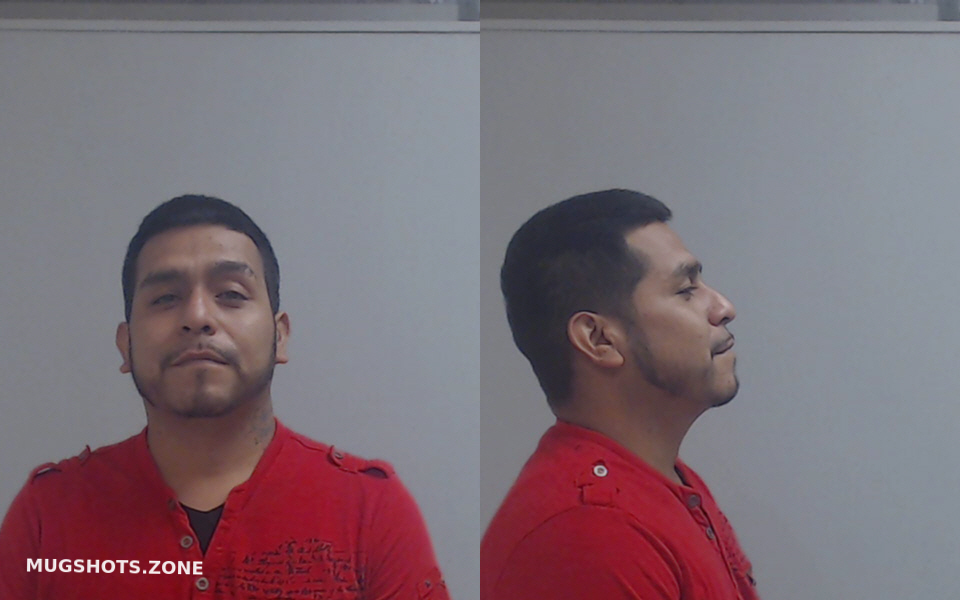 Bustos Omar Trini Hidalgo County Mugshots Zone