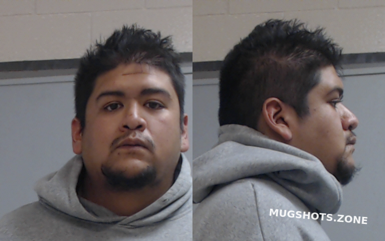 Flores Steven Cordell Hidalgo County Mugshots Zone