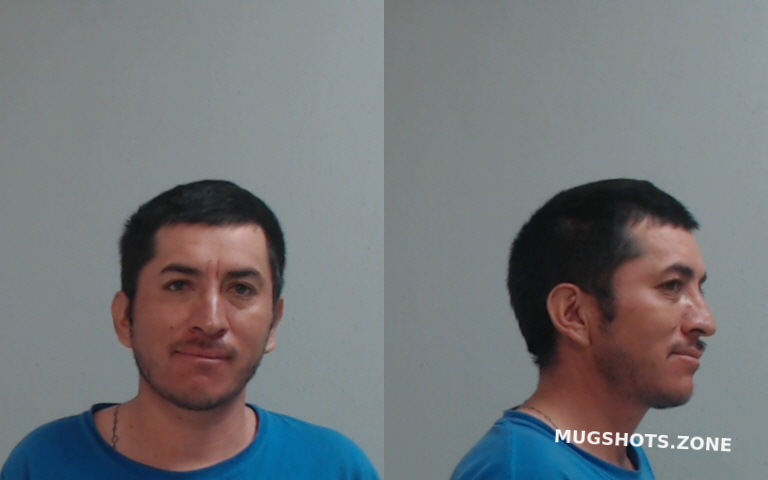 Araujo Jose Luis Hidalgo County Mugshots Zone