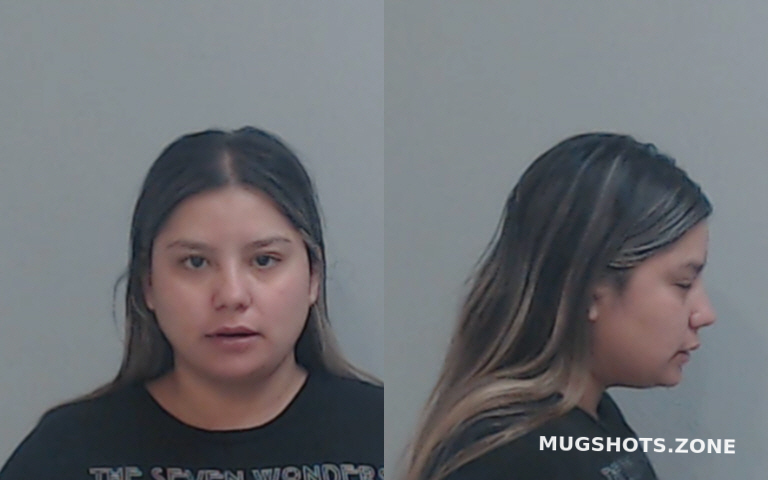 Delosrios Paula Renee Hidalgo County Mugshots Zone