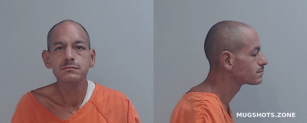 Fabela Carlos Quintanilla Hidalgo County Mugshots Zone