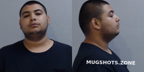 MENDOZA JULIO CESAR 11 01 2021 Hidalgo County Mugshots Zone